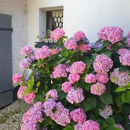 Dom wakacyjny Entre Terre Et Campagne-lès-Hesdin